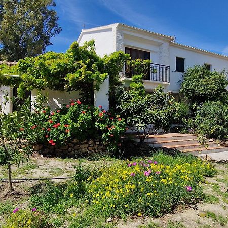 Cortijo Nerja Artist Paradise المظهر الخارجي الصورة