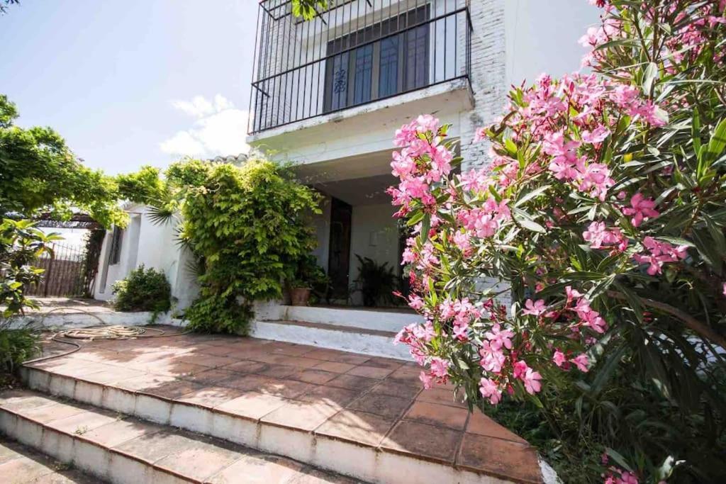 Cortijo Nerja Artist Paradise المظهر الخارجي الصورة