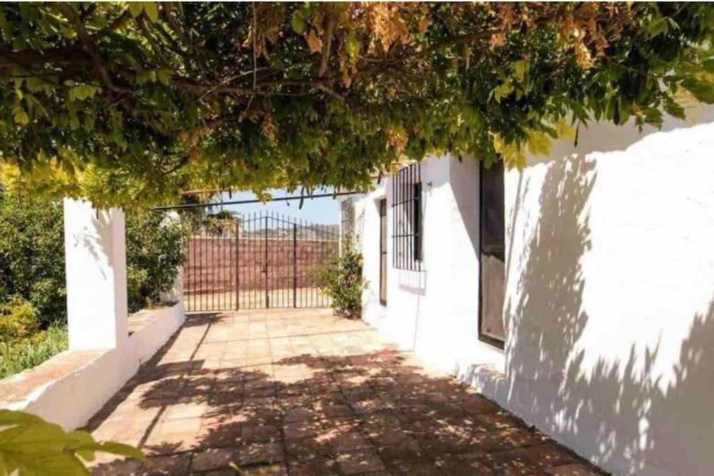 Cortijo Nerja Artist Paradise المظهر الخارجي الصورة