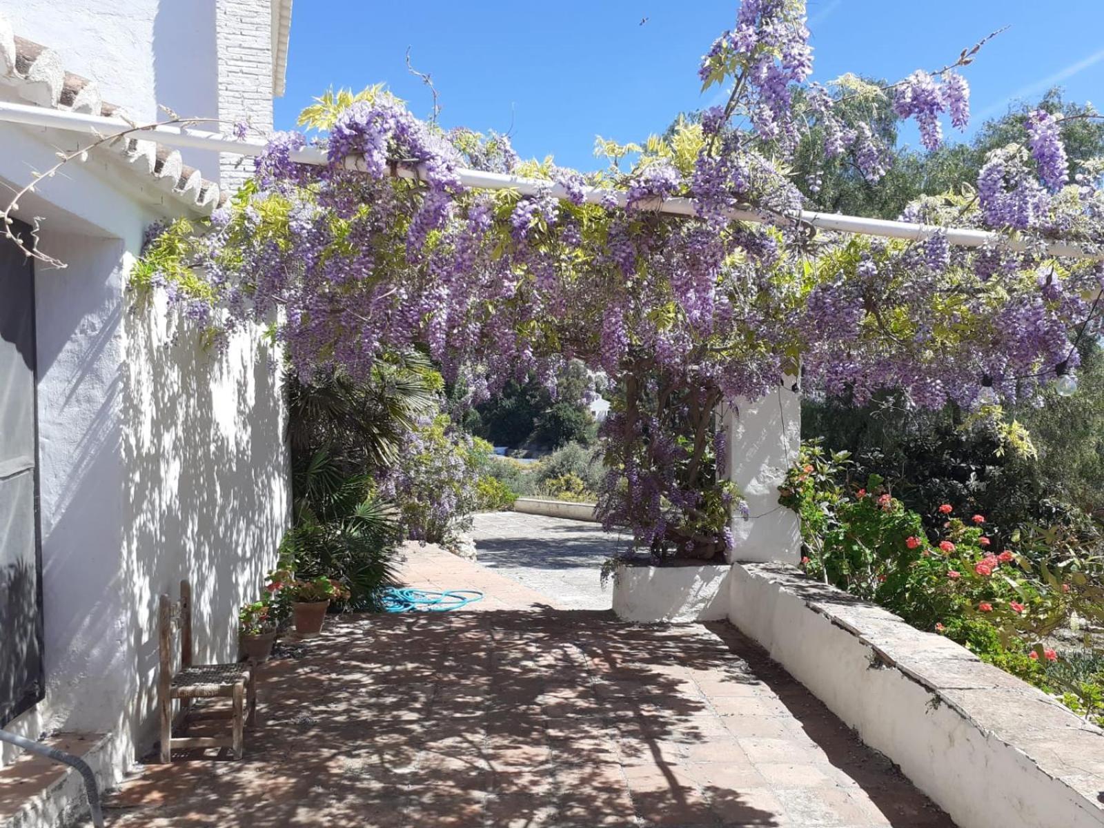 Cortijo Nerja Artist Paradise المظهر الخارجي الصورة