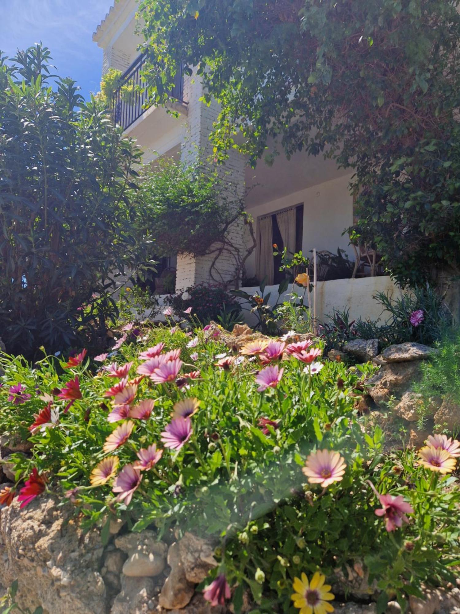 Cortijo Nerja Artist Paradise المظهر الخارجي الصورة