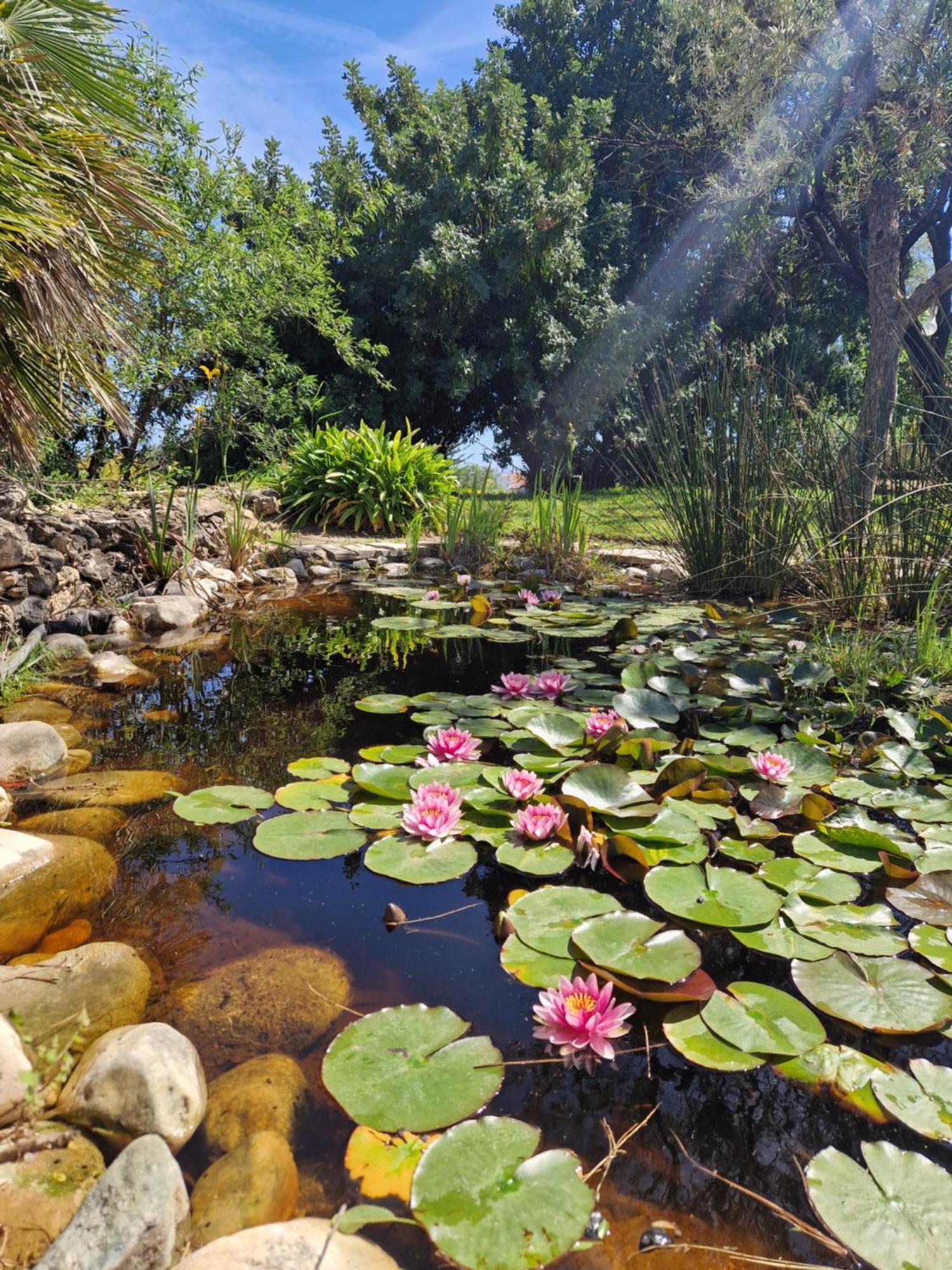 Cortijo Nerja Artist Paradise المظهر الخارجي الصورة